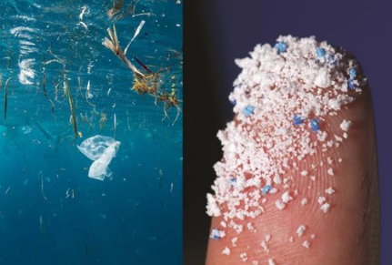 Microplastics pollution