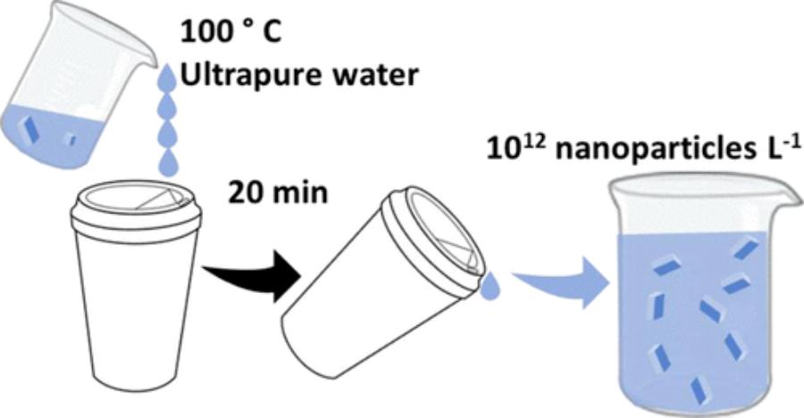 Nanoplastics impact human health