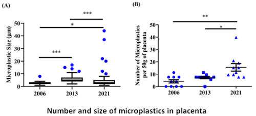 Number and size of microplastics in placenta